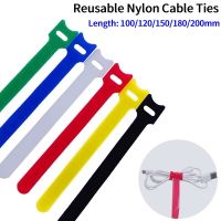 30pcs/100pcs Releasable Cable Ties Plastics Nylon Hook Loop Wrap Zip Bundle Fastener Straps Detachable T-type Wire Organizer