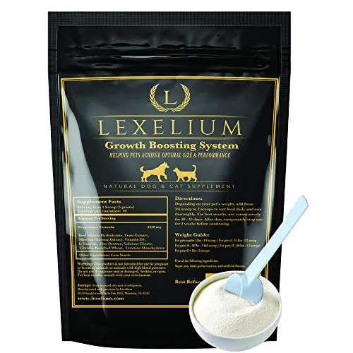 is protein powder toxic to dogs