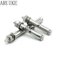 【cw】 1pcs M10X70/80/100/110 mm 304 stainless steel expansion bolt screw Ceiling house lizard screws 【hot】