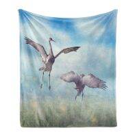 （Contact customer service for customizable blankets）Red Crown Crane Throwing Blanket, Sand Mountain Bird Florida Wetland Exotic Beach Spouse Fleece Blanket Mattress Home Decoration(Coral plush blankets in stock)