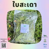 ใบสะเดา ใบสะเดาอบแห้ง ขนาด 100กรัม ผักพื้นบ้าน หวานเป็นลมขมเป็นยา ร้าน 168 Herbs สินค้าพร้อมส่งทุกรายการ ทักแชทสอบถามได้ค่ะ