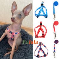 Pet Dog Bone Printing Harness and Leash Set Summer Chihuahua Fashion Harness for Small Dog Adjustable Walking Puppy Accessories Leashes