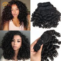 Htonicca Curly Hair Brazilian Weaving 1/3/4 PCS Human Hair Bouncy Curly Double Machine Weft Remy Natural Hair Extensions Wig  Hair Extensions  Pads