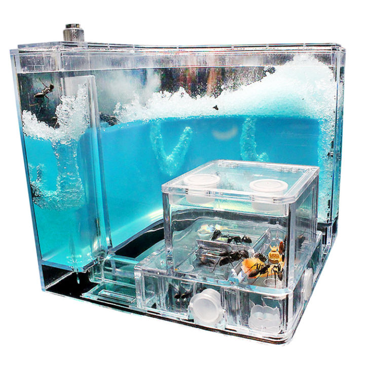 Ant Farms for Kids Terrarium Kit with Gel for Kids 3D Maze Ecosystem ...