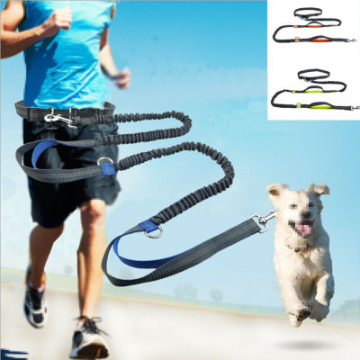 2021 New Reflective Leash Traction Rope Dog Running Belt Elastic Hands Freely Jogging Pull Dog Leash Metal D-ring Leashes