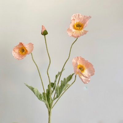 [ส่งด่วน 1-2 วัน] ดอกป๊อปปี ดอกไม้ปลอม ดอกไม้ตกแต่งบ้าน ดอกไม้ ดอกทิวลิปปลอม TULIPS POPPY FLOWER พรอพถ่ายรูป ตกแต่งบ้าน