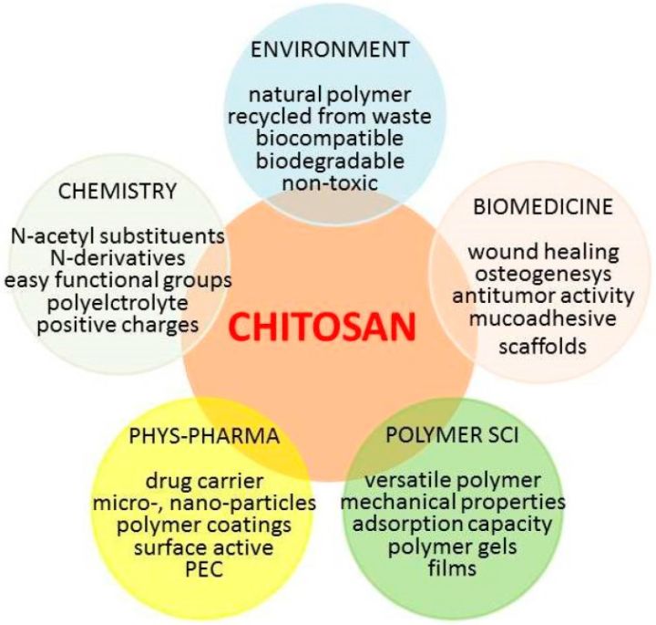 ไคโตซาน-super-chitosan-3000-120-vegcaps-natural-balance