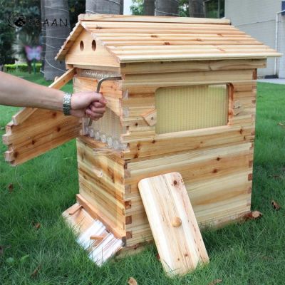 กรอบรังผึ้งรังผึ้งไม้อัตโนมัติ7ชิ้นเครื่องมือ Peralatan Ternak Lebah รังผึ้ง
