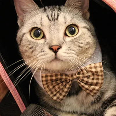 Pet Plaid Bowknot Dog Cat Cute Lattice Bow Tie Collar Adjustable Cotton Strap Puppy Kitten Necklace Collar Pet Supplies