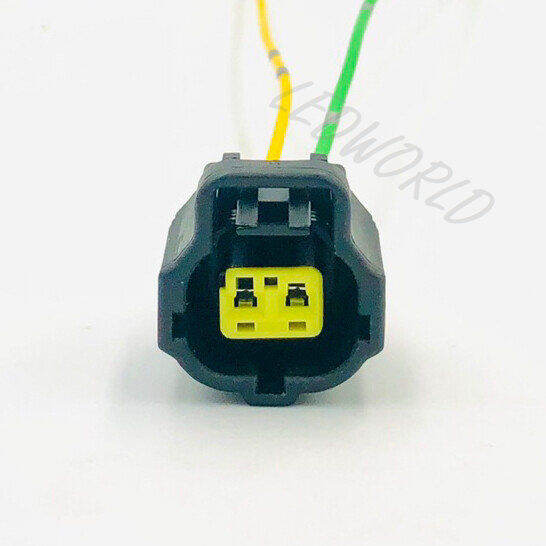 2PIN 1PCS Perodua Myvi Lagi Best Axia Bezza Alza Coolant Water