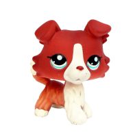 Morris8 LPS CAT Littlest pet shop Bobble head toys original animal  collie  1542 brown white puppy dog blue eyes real rare figure