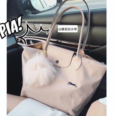 French longchamp dumpling bag 70th anniversary large-capacity womens bag embroidery nylon waterproof bag mommy bag one-shoulder female