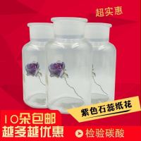 litmus paper flowers flower 10 primary and secondary school chemistry test carbon dioxide solution interesting science teaching experiments