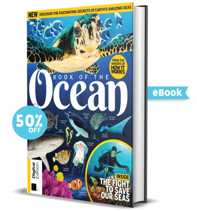 Braintalk PH | Book 0f The Oceans | Ebooks | Lazada PH