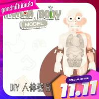 ?Kids learning?Human Body Model โมเดลร่างกายสำหรับเด็ก โมเดลจิ๊กซอร์ถอดประกอบได้ ของเล่นเรียนรู้ร่างกาย ?KIDS Learning?human Body Model Body Model for Children Removable jigsaw model Body learning toys