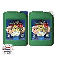 5ลิตร ปุ๋ยหลักทำดอก เร่งดอก A+B จากเนเธอร์แลนด์ สำหรับไฮโดรโปนิกส์/ขุยมะพร้าว Dutchpro Hydro/Coco Bloom A+B