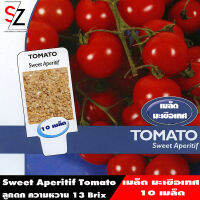 Sweet Aperitif Tomato มะเขือเทศที่มีรสชาติหวานมาก ลูกดก มีระดับความหวานอยู่ 13 Brix 1ชุด 10 เมล็ด พร้อมส่ง