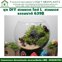 สวนในขวดแก้ว DIY ไซต์ L ราคา 639 บาท ชุดสวนมอสธรรมชาติ