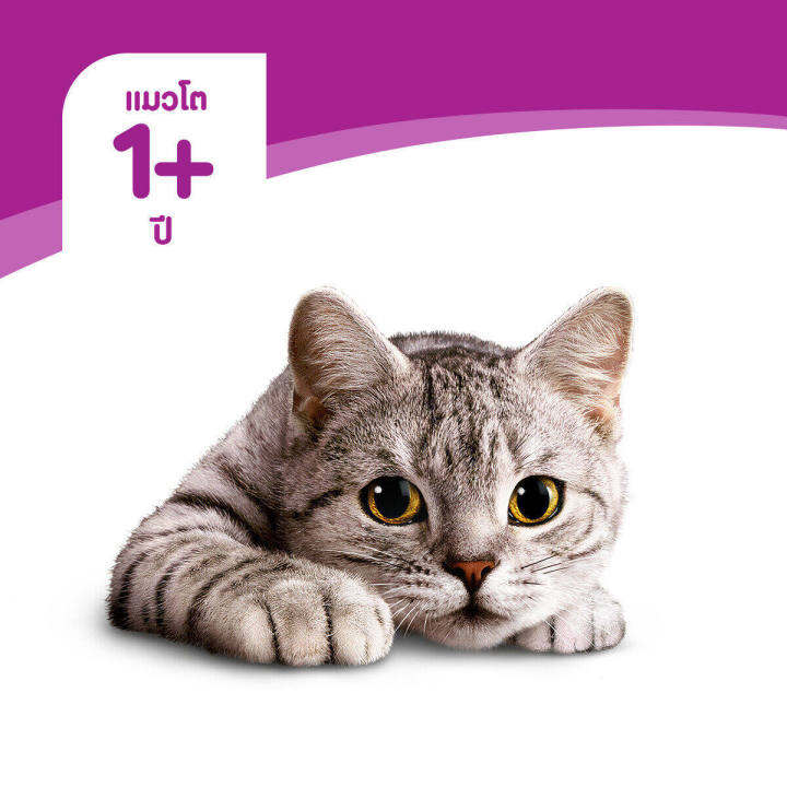 whiskas-วิสกัส-อาหารแมวโต-7-กก-โภชนาการที่ครบถ้วนและสมดุลสำหรับแมวอายุ-1-ปีขึ้นไป