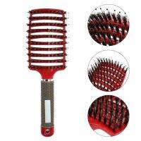 【CC】 Scalp Massage Comb Bristle Hot Sales Wet Curly Detangle Hairbrush