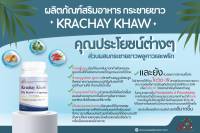 กระชายขาว สารสกัดชนิดแคปซูล Krachay Khaw กระชายขาว พลูคาว พริก กระชายขาว [1กระปุกx60 แคปซูล] 600 มก.