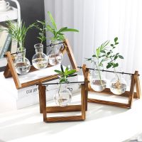 [COD] Beaker hydroponic wooden frame container green dill plant glass vase office desktop decoration