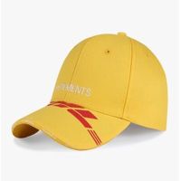 Vetements DHL Logo Baseball Caps  Men Women embroideried Logo VETEMENTS Hats Good Quality Summer VTM Caps 3 Colors VTM Hat