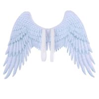 Carnival Party Wedding Costume Props Carnival Adult Men and Women Angel Wings