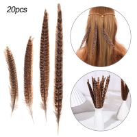 PAN6303936269 Natural Home DIY Decoration Tail Feathers Pheasant Craft Feathers