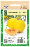 เมล็ดพันธุ์ เมล่อน พันธุ์ ธันเดอร์ โกลด์ 1497 เนื้อสีส้ม ผลทรงกลม ทนร้อน อร่อย ดูแลน้อย ต้นแข็งแรง ปลูกง่าย น้ำหนักดี ผลผลิตสูง ทนโรค
