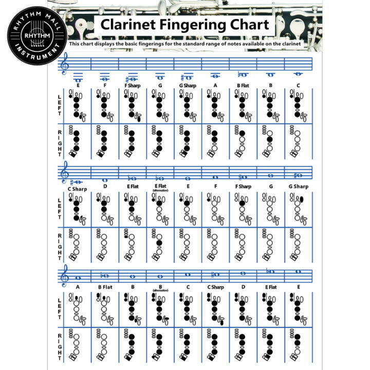 Chord Chart Reference Poster Easy Reading Chords Theory Poster
