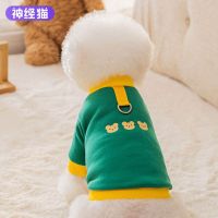 2023 New Fashion version Pullable Bear Pet Clothes Autumn Thin Teddy Bichon Pomeranian Small Dog Cat Sweater Dog Clothes