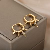 Hip-Hop Punk Hoop Earrings for Women Girls Luxury Stainless Steel Gold Color Hoops Earing Gothic Party Jewerly Gift Bijoux Femme