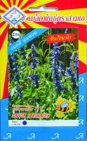 ซัลเวียฟ้า Salvia Farinacea  เมล็ดพันธุ์ตราสามเอ