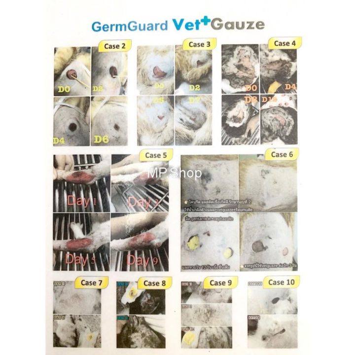 germguard-vet-gauze-dressing-coated-with-mangosteen-extracts-size-4-x4-10cmx10cm-แผ่นปิดแผลฆ่าเชื้อด้วยสารสกัดมังคุด-50g-10แผ่น-กล่อง-x-2-กล่อง