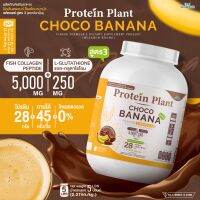 Protein Plant โปรตีนแพลนท์ สูตร 3 (รสช็อกโก บานาน่า) ขนาด 2.27 kg./กระปุก (5 ปอนด์ 5LBS) ทานได้ 45 ครั้ง โปรตีนพืช 5 ชนิด คอลลาเจนเปปไทด์ แอลกลูต้าไธโอน