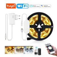 Tuya DC12V WiFi CCT smart LED Strip Voice APP Control 5M Dimmable Backlight LED lamp Tape Compatible Alexa / Echo / Google Home