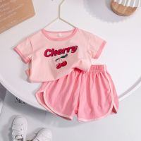 Kids Baby Girls Cotton Clothing Sets Toddler Infant Tee Shirts + Shorts Children Wears T-shirt + Pants Outfits Suits 1-6 Years