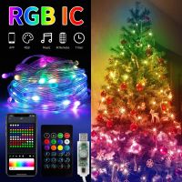 5V Bluetooth RGBIC LED String Light Dreamcolor WS2812B Fairy Christmas Lights Garland Bedroom Party Wedding Christmas Decoration