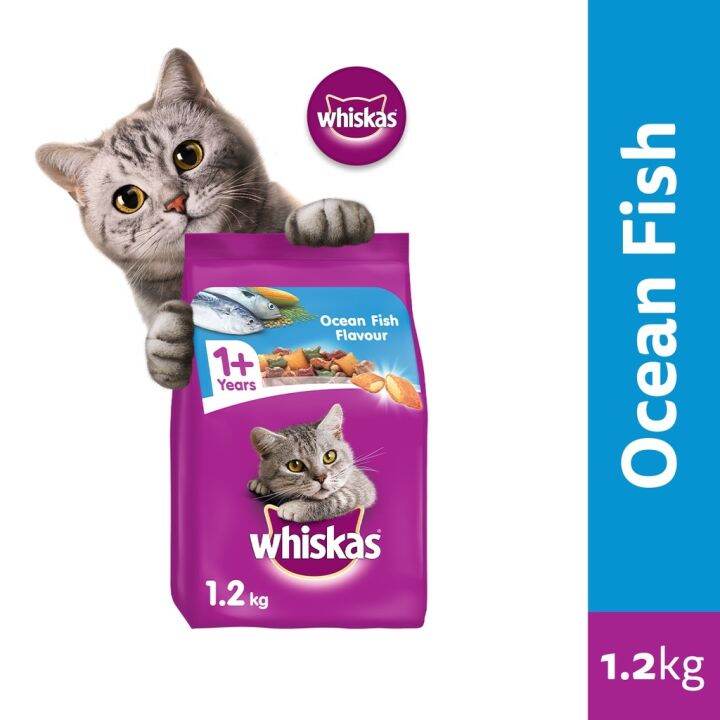 WHISKAS Dry Cat Food – Sack in Ocean Fish Flavor 1.2kg. Pet for Adult ...