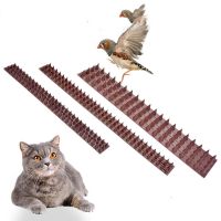 【CW】 Anti Climbing Nails Anti-mouse Wall Garden Netting Vagetable Protection Anti-bird Thorns