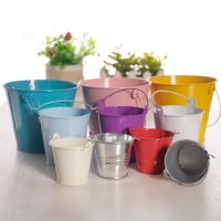 【CC】 Metal Colored Flowerpots Wedding Favour Pails Garden Pots Succulent Pot Balcony Planters