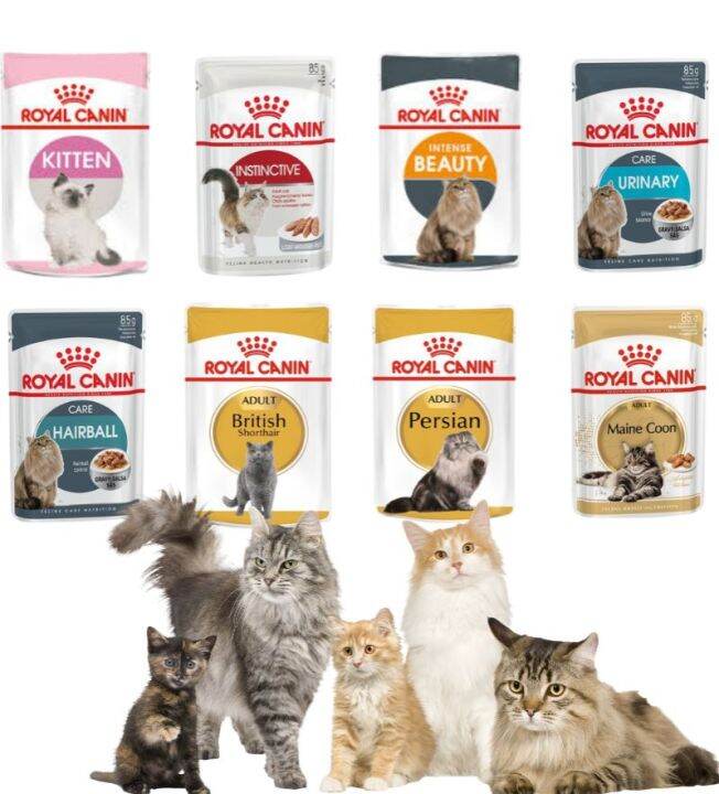 Royal Canin Wet Cat Food 85g Gravy (Kitten, Instinctive, British