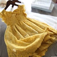 Baby Girl Dress Lace Princess Girls Clothes Birthday Party Dress Girls Fashion Lace Dresses