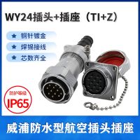 Weipu WEIPU waterproof aviation plug socket WY24-2 core 3 core 4 core 9 core 10 core 12 core 19 core TI/KZ