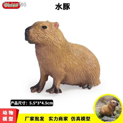 🎁 ของขวัญ เด็กของเล่นจำลองสัตว์ป่ารุ่น capybara หนูปลาแมนดารินง้างปากปลาแมนดารินเครื่องประดับความรู้ความเข้าใจ