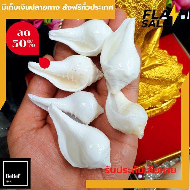 แท้100-พระมหาสังข์อินเดีย-ขนาด3-5ซม-พระมหาสังข์พิธีพราหมณ์-ส่งฟรีทั่วไทย-by-belief6395