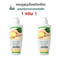 ขิงเพียว 120ml แชมพู สูตรสมุนไพร บำรุงเส้นผม 120 มล. 1แถม1 ? ลดราคาพร้อมจัดส่ง ? / Unimall_Th