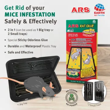 Shop Japan Sticky Large Mouse Trap with great discounts and prices online -  Nov 2023