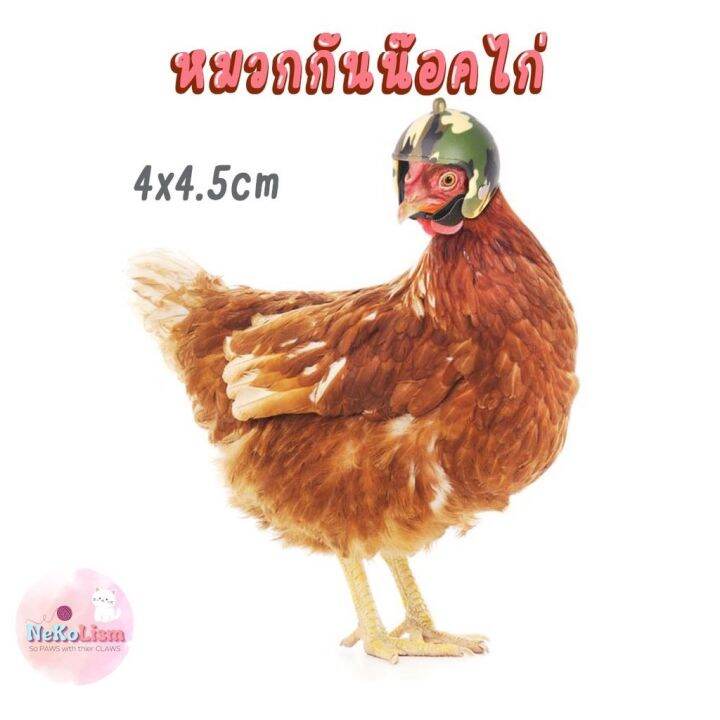 หมวกกันน๊อคสัตว์ปีก-หมวกกันน๊อคไก่-หมวกกันน๊อคนก-หมวกไก่-helmet-bird